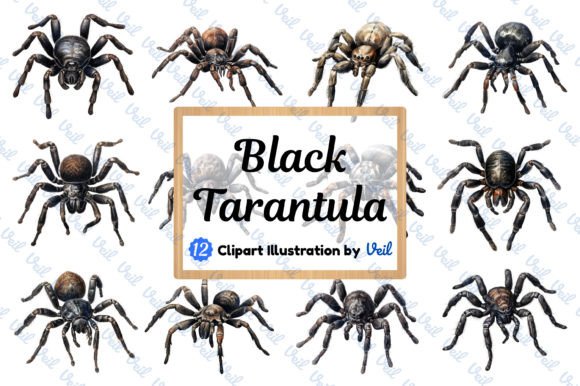 Black Tarantula Clipart Watercolor: A Designer's Creative Asset