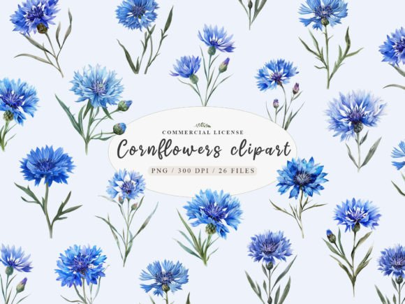 Blue Watercolor Cornflower Clipart: A Practical Guide to Style and Use