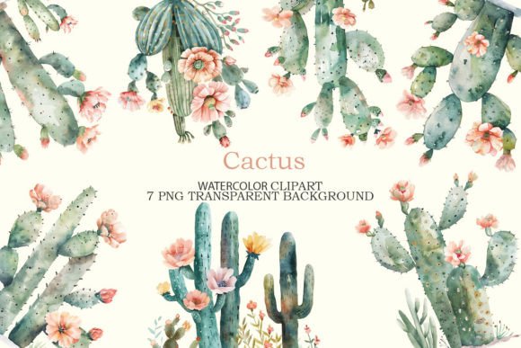 Cactus Flowers Watercolor Clipart Bundle