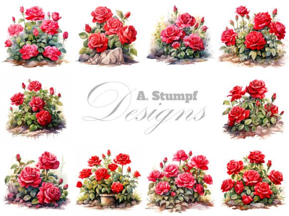 Red Roses Watercolor Clipart Bundle for Elegant Designs