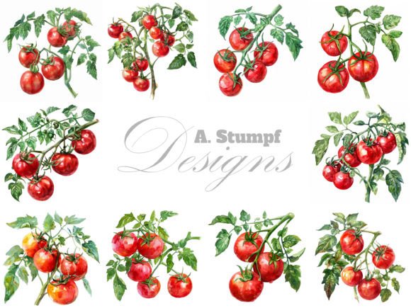 Tomato Watercolor Vegetables Clipart Set