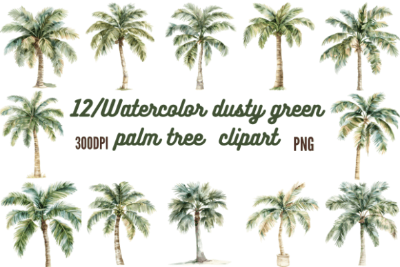 Watercolor Dusty Green Palm Tree Clipart