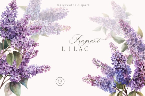 Watercolor Lilac Flowers Clipart PNG Guide
