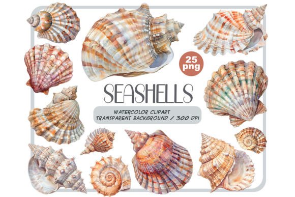 Watercolor Seashells Clipart: A Designer's Guide
