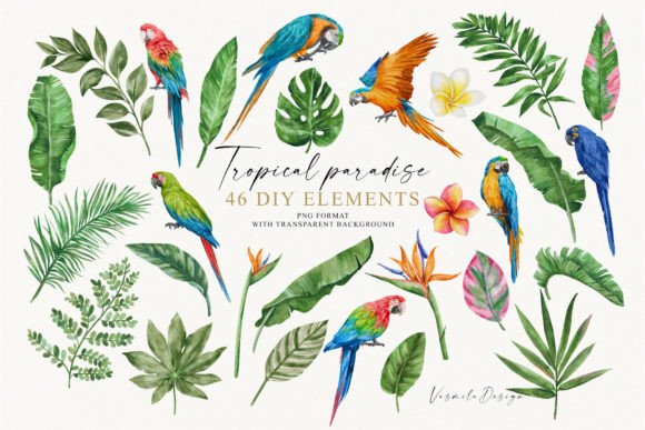 Watercolor Tropical Clipart for Modern Branding